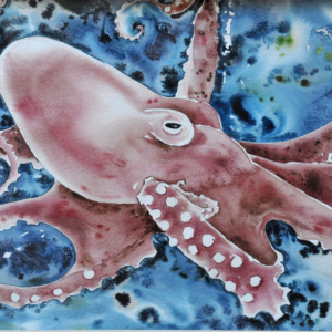 13. Octopus